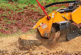 Best Weed Control  in Lockeford, CA